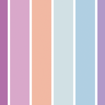 Rashguard Shirt - Sorbae