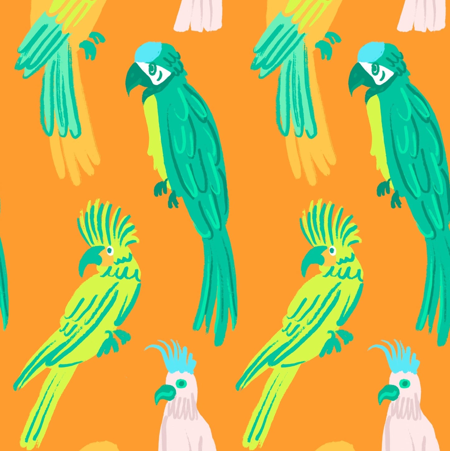 Parrotdise